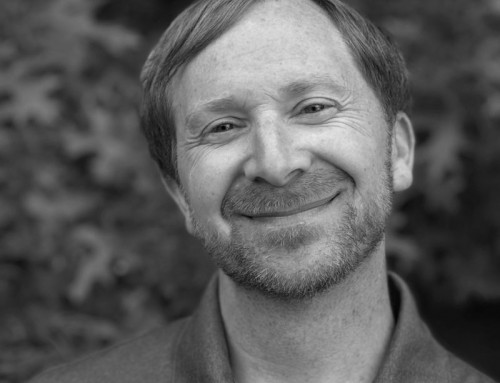 Matthew Stein